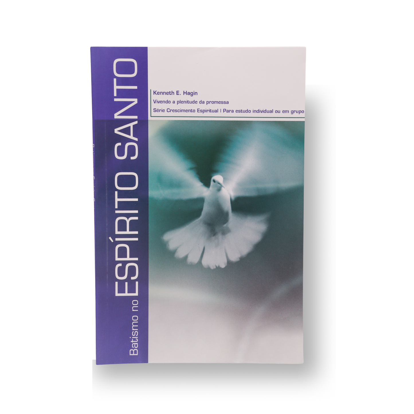 BATISMO NO ESPÍRITO SANTO – VIVENDO A PLENITUDE DA PROMESSA