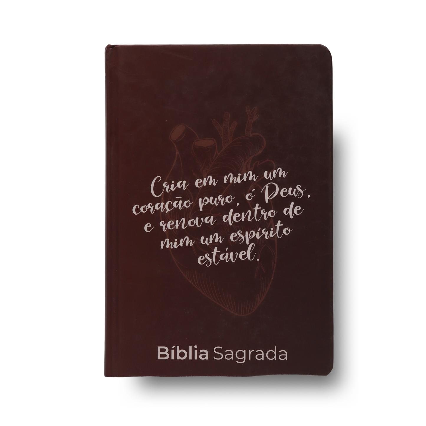 BÍBLIA SAGRADA CORAÇÃO PURO | NAA | LETRA NORMAL | CAPA DURA