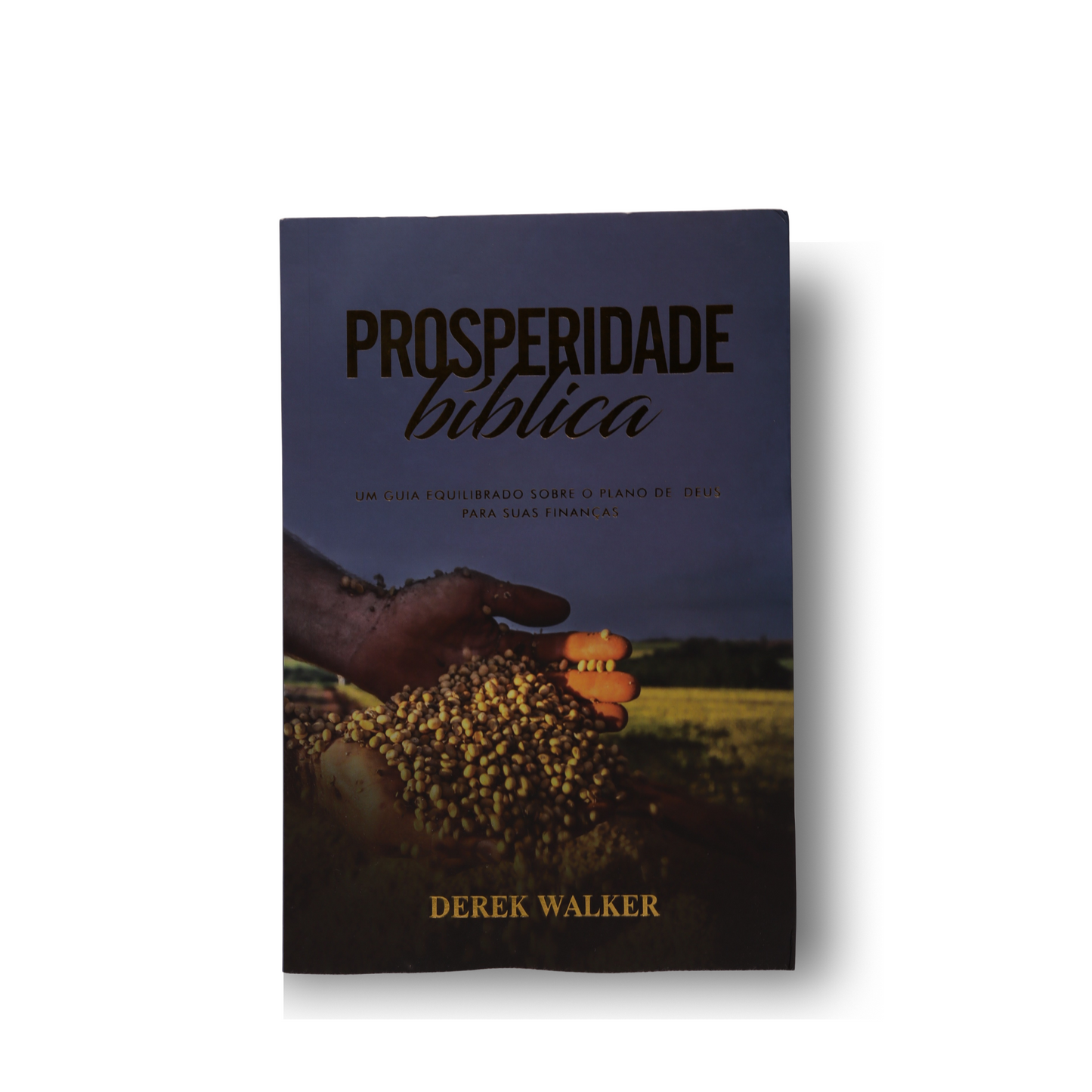 PROSPERIDADE BÍBLICA | DEREK WALKER