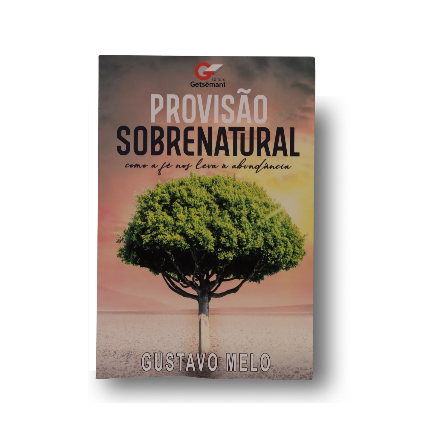 PROVISÃO SOBRENATURAL | GUSTAVO MELO