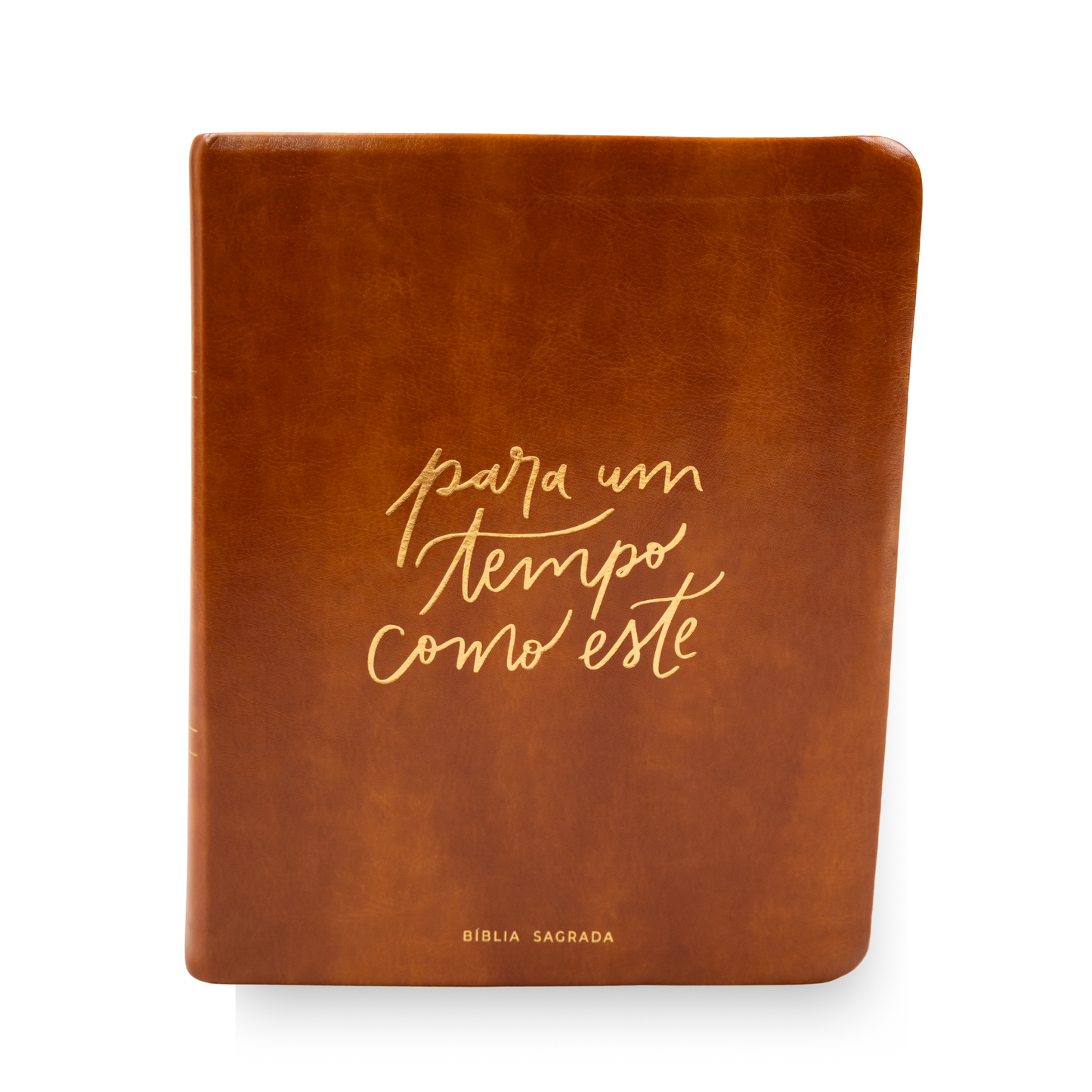 PARA UM TEMPO COMO ESTE