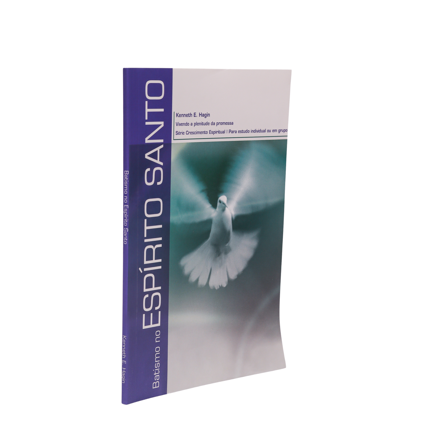 BATISMO NO ESPÍRITO SANTO – VIVENDO A PLENITUDE DA PROMESSA