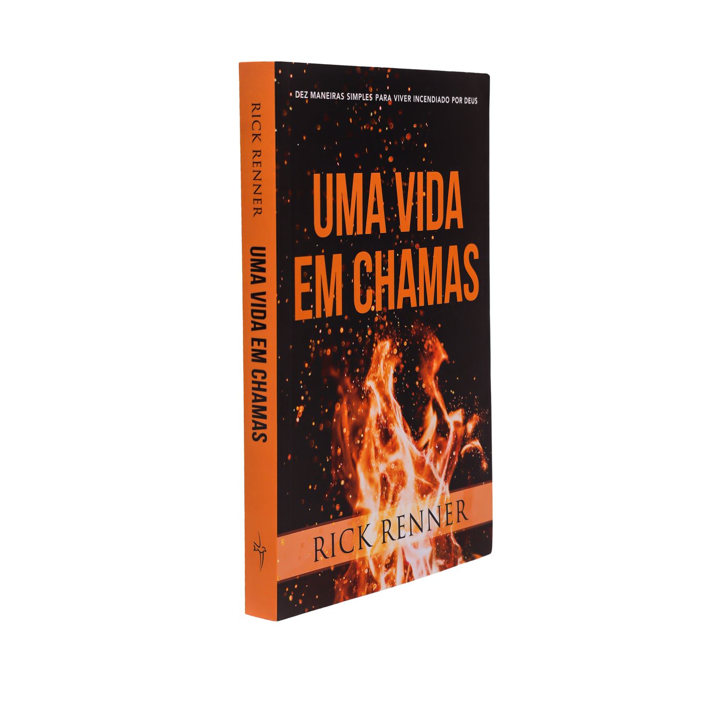 UMA VIDA EM CHAMAS – AVIVANDO O FOGO DO ESPÍRITO EM SEU CORAÇÃO
