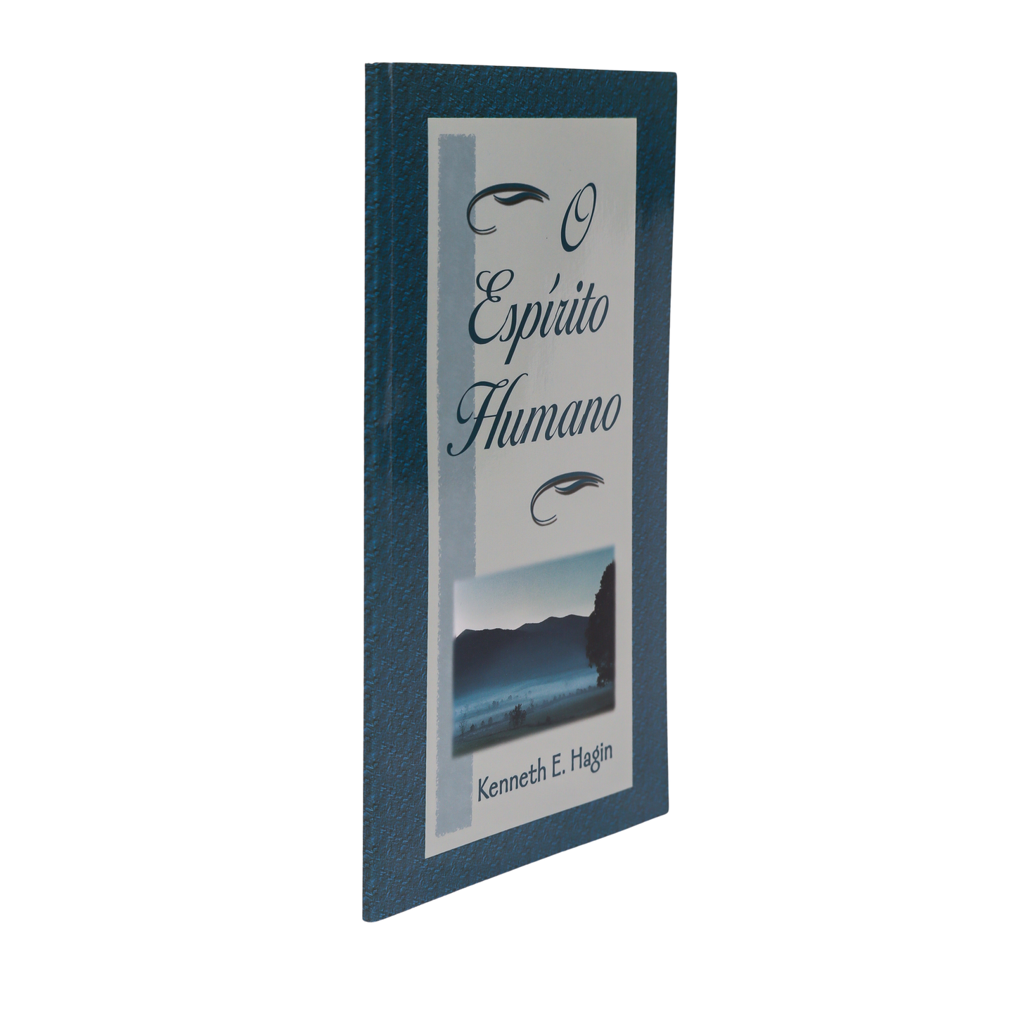 O ESPÍRITO HUMANO – TREINANDO E DESPERTANDO SUA NATUREZA ESPIRITUAL