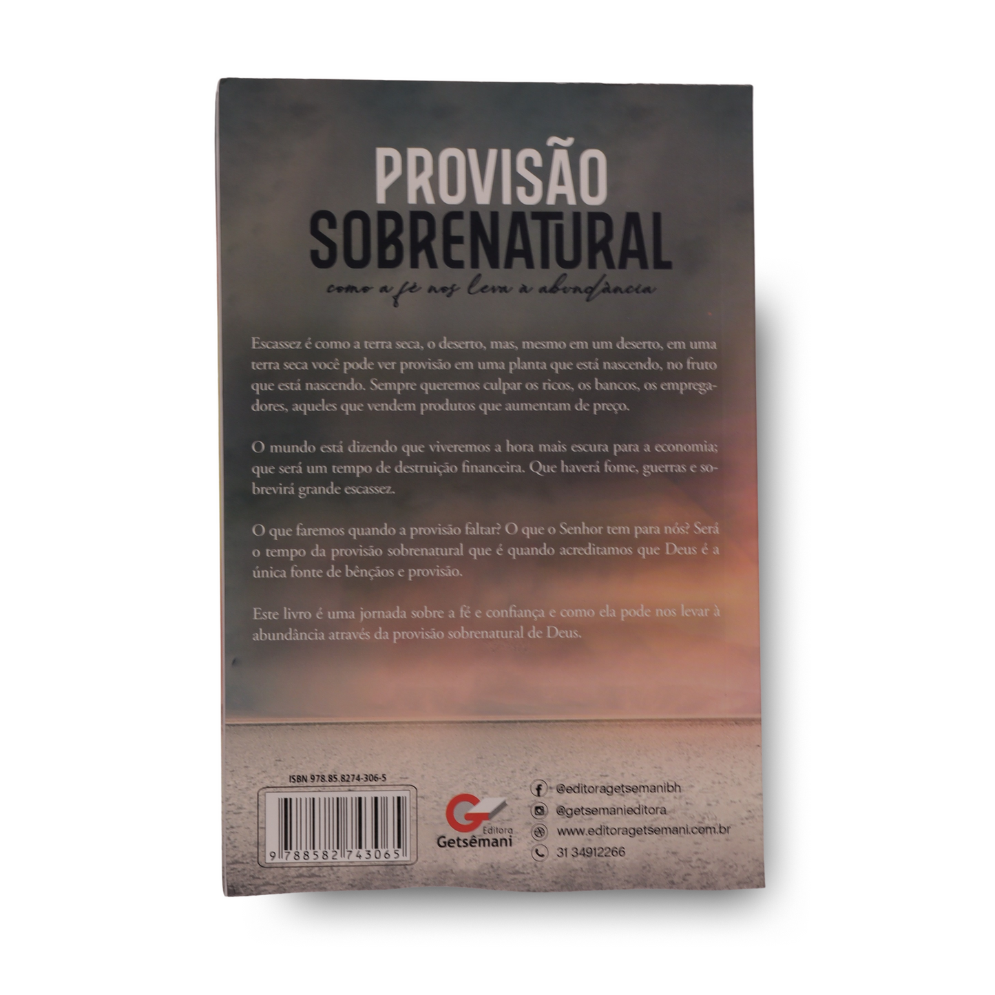 PROVISÃO SOBRENATURAL | GUSTAVO MELO