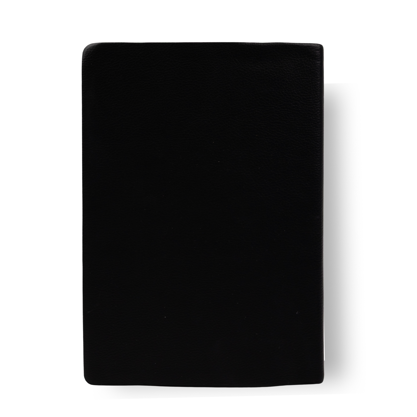 BÍBLIA CAMPO DE BATALHA DA MENTE — VERSÃO AMPLIFICADA