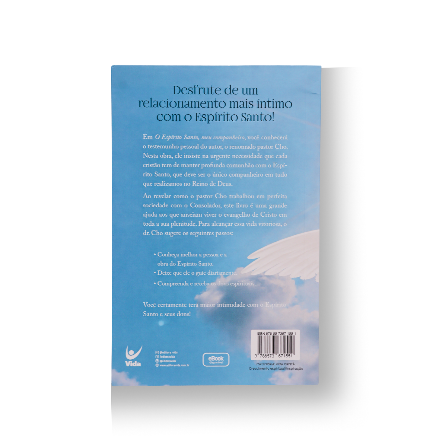 O ESPÍRITO SANTO MEU COMPANHEIRO – CONHEÇA MELHOR O ESPÍRITO SANTO E SEUS DONS