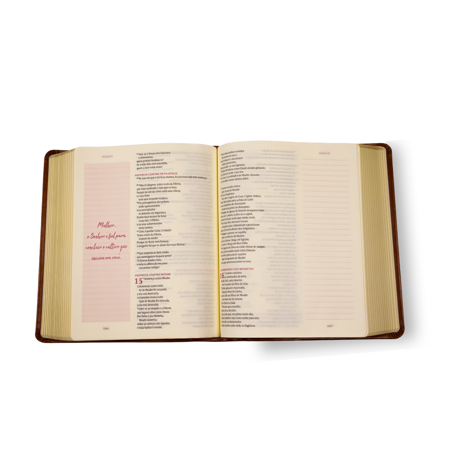 BÍBLIA ANOTE ESPIRAL — NVI MÁQUINA DE ESCREVER