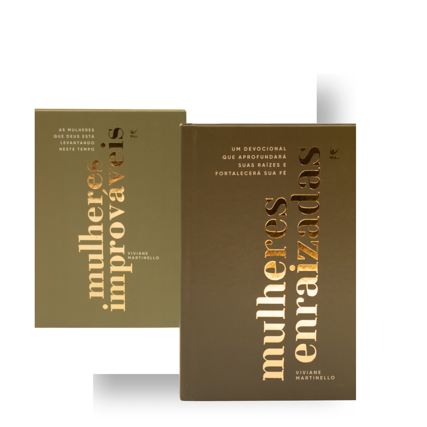 BOX COLEÇÃO MULHERES — VIVIANE MARTINELLO