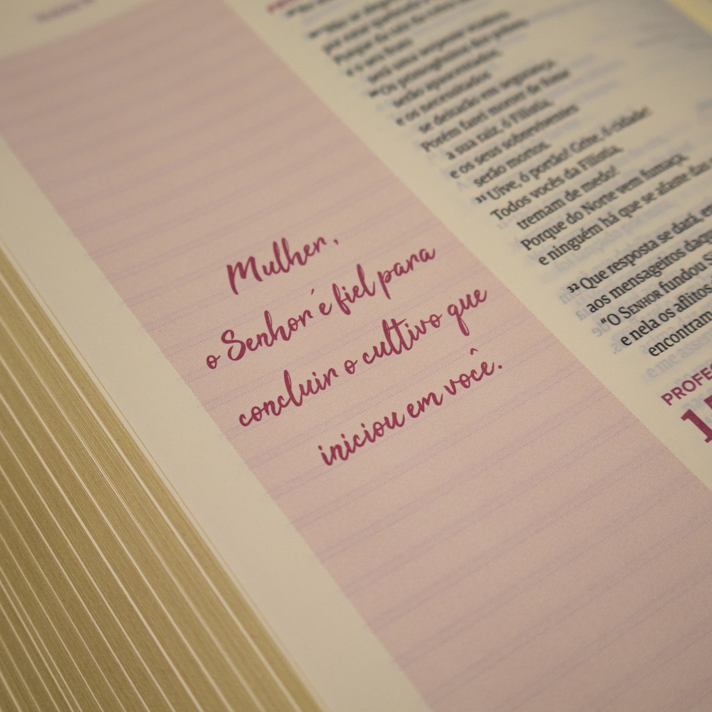 BÍBLIA ANOTE ESPIRAL — NVI MÁQUINA DE ESCREVER